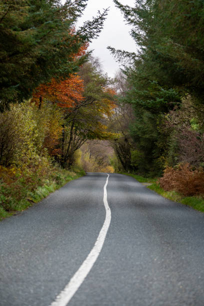 istock Winding Road Through the Wicklow Mountains, Ireland 2166079034