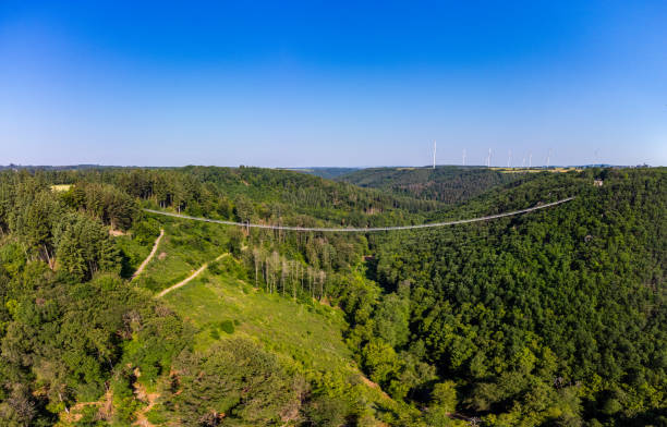 luftaufnahme der hängebrücke geierlay, deutschland - hunsrück stock-fotos und bilder