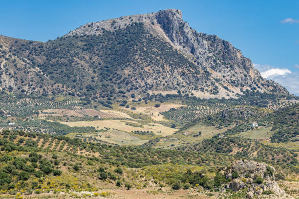 istock Mountain above olive groves in Andalusia. 2166079691