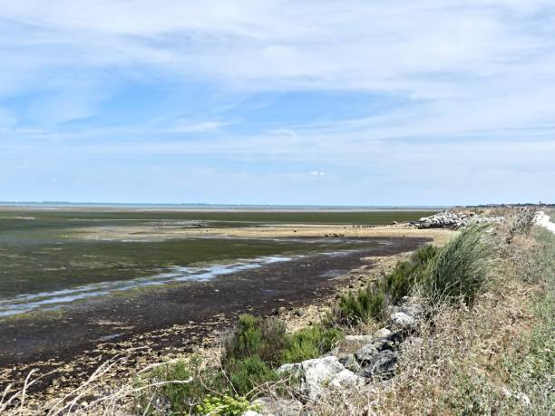 istock View of the salt marshes 2166082406