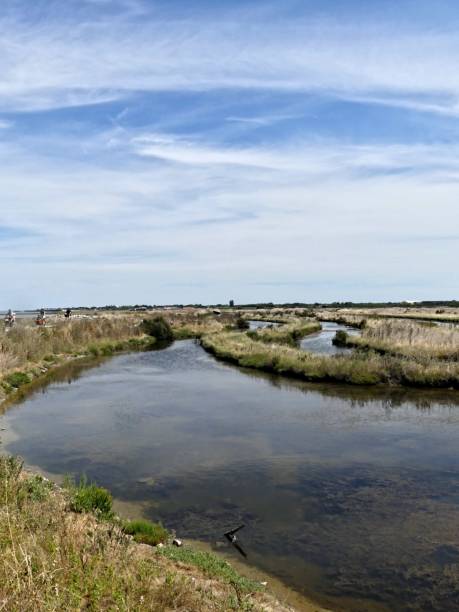 istock View of the salt marshes 2166082654