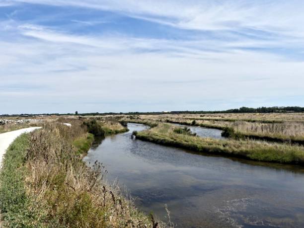 istock View of the salt marshes 2166082656