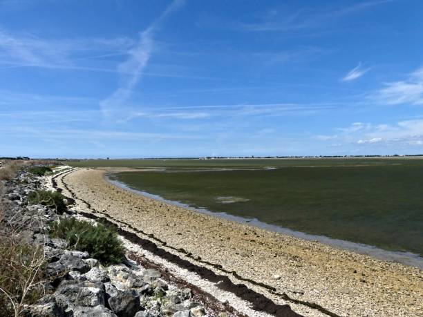 istock View of the salt marshes 2166082995