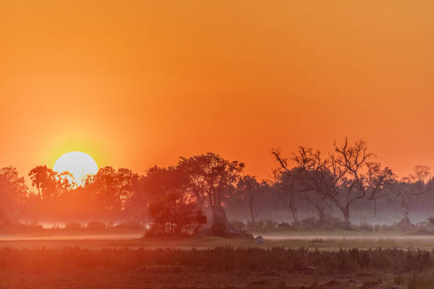 The moment the sun emerges behind the horizon of Botswana's Okavango Delta.