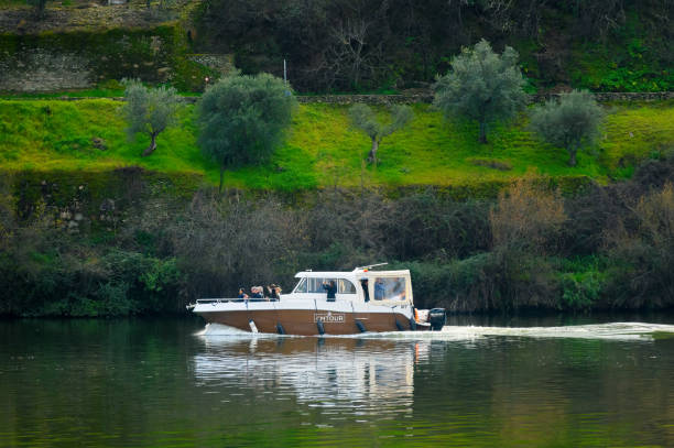 Pinhao, Portugal - February 12, 2024: Tourists on a yacht touring the Douro River. Trees by the riverbank