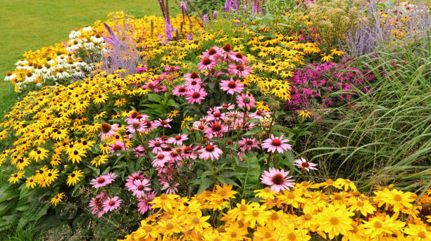 istock Colorful flowerbed in a park 2166093816