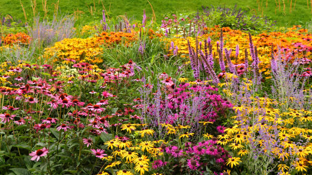 istock Colorful flowerbed in a park 2166094017