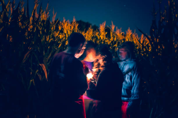 Children in Halloween corn maze in Caledonia Mississippi Children navigate a corn maze with flashlights, Sept. 25, 2012, in Caledonia, Mississippi. corn-maze stock pictures, royalty-free photos & images