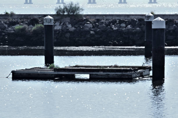 istock WORLD OF WATER 2166097395