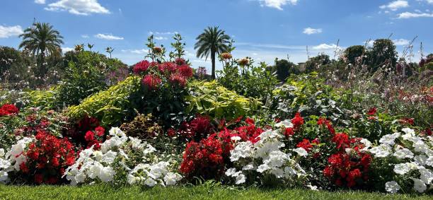istock Luxembourg Garden 2166098046
