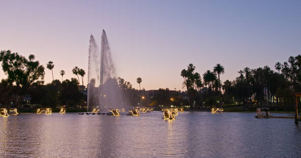 A wide shot of Echo Park Lake on a warm Summer sunset in Los Angeles, California.