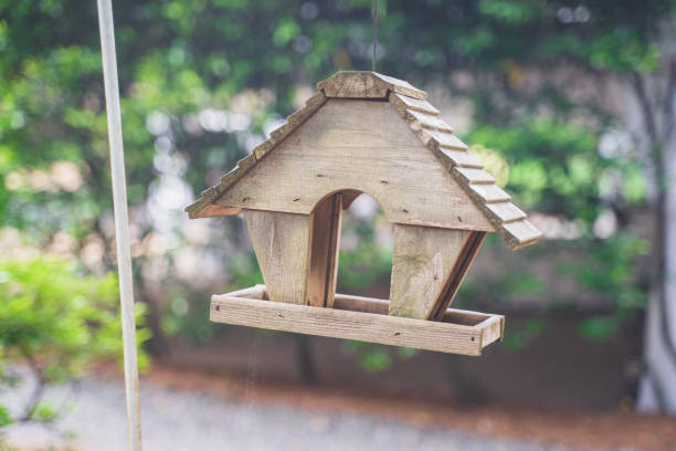 istock A wooden bird feeder 2166101099