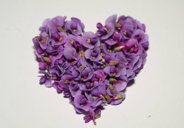 istock Purple flowers shaped into heart 2166123903