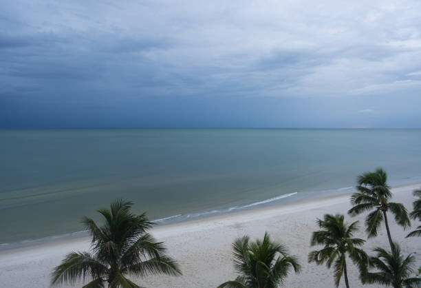 Dark clouds loom over a beach where fierce waves crash against the shoreline. A solitary palm tree stands tall amidst the sandy landscape, surrounded by sand dunes and worn fencing, creating an atmosphere of raw natural power under a gloomy sky.