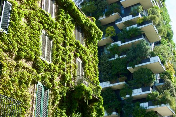 istock Old building with ivy on the facade with skyscraper background with trees 2166128916