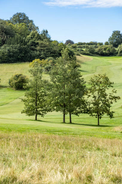 istock Countryside view  sunny day Surrey England 2166129605