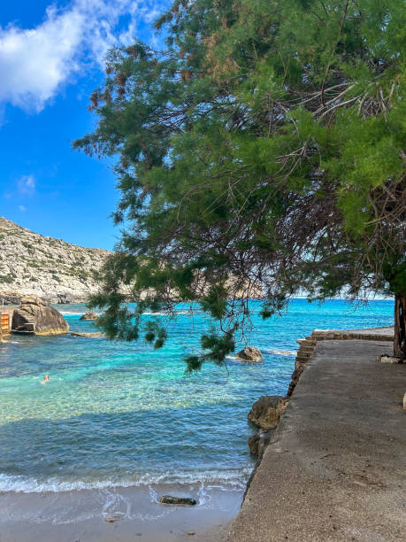 istock Seaside walkway in Majorca with pine tree and blue sea. 2166133229