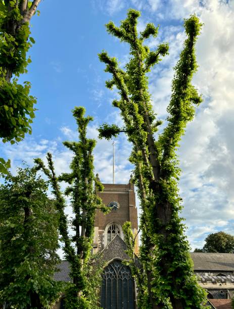All Saints Church, Kingston upon Thames