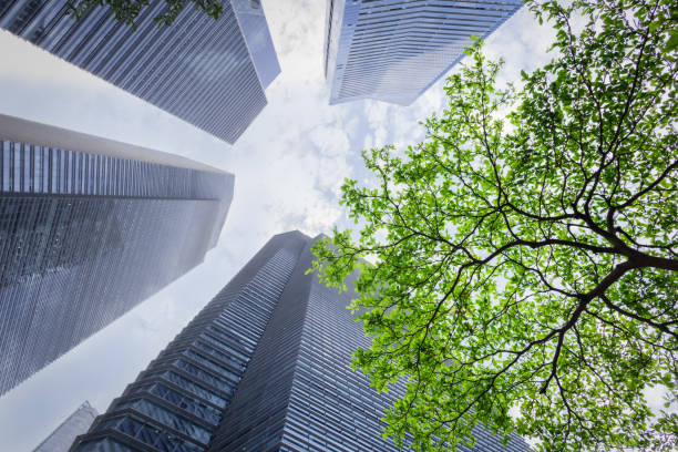 Eco-friendly building. Sustainble green building.