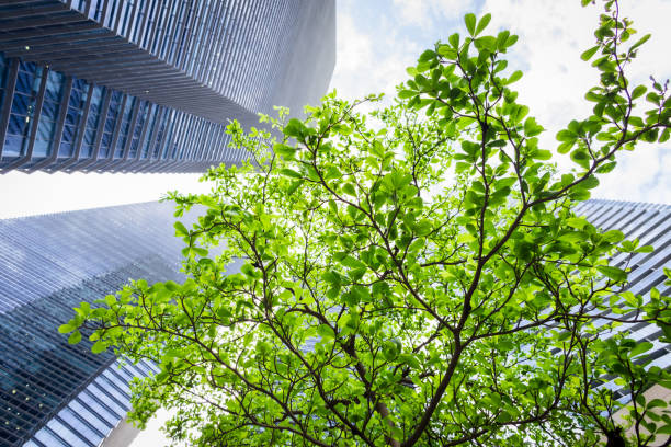 Sustainable Resources – Green Building
