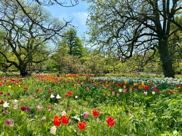 istock The Botanical garden in Lund 2166142484