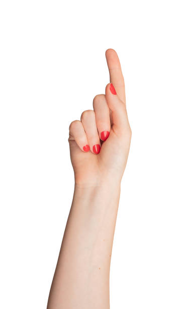 istock Finger pointing, hand gesture for indicating or selecting. Isolated on white background, 2166142536