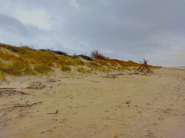 istock A dune with bushes near the sea 2166144040