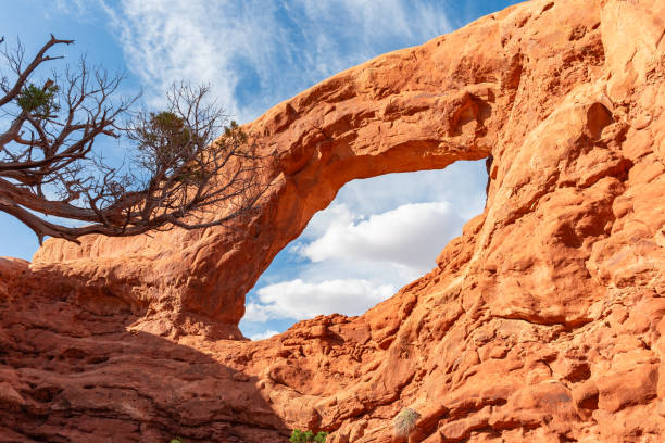 Natural landscape of limestone and sandstone rock formations inside a national parks in utah and arizona in north america in summer