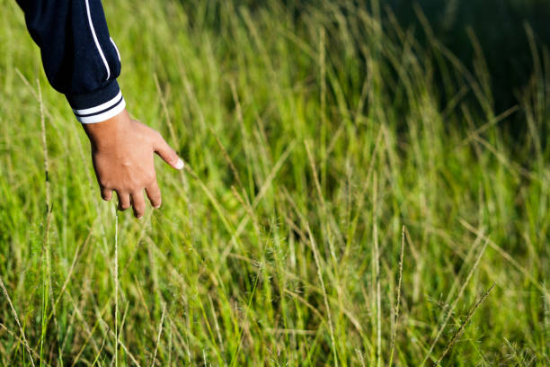 A man's hand is holding grass in a field
