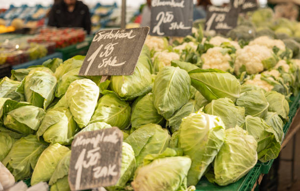 istock Market stall with cabbages. 2166156937