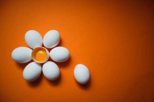 istock Flower shaped raw egg on orange background. Few white eggs, whole and broken egg half with a yolk isolated on a white background 2166158198