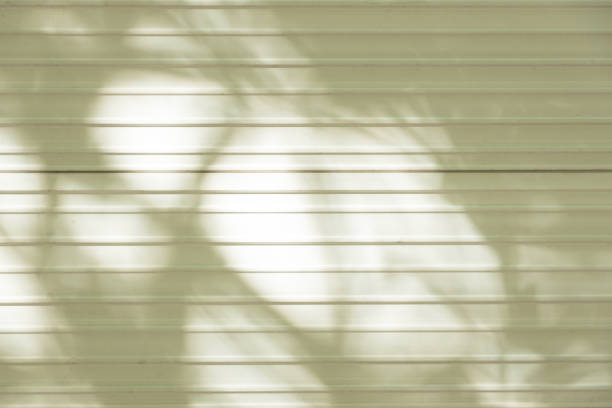Abstract leaf shadow that reflect metal sheet wall, Shadow and light