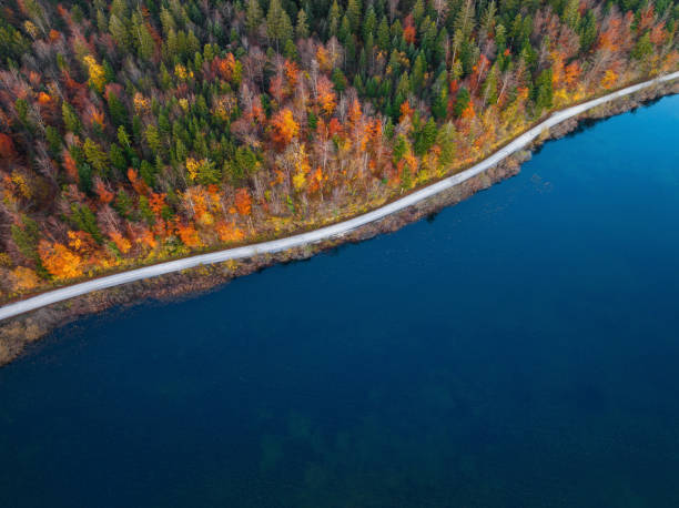 istock Aerial View On A Road By The Lake 2166161961