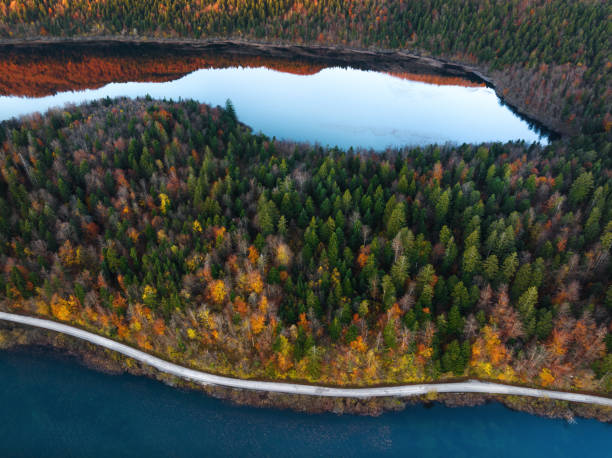istock Road By The Lake In Autumn 2166162028