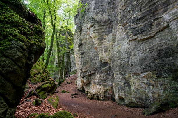 Landscape close to Treves, Eifel, Germany