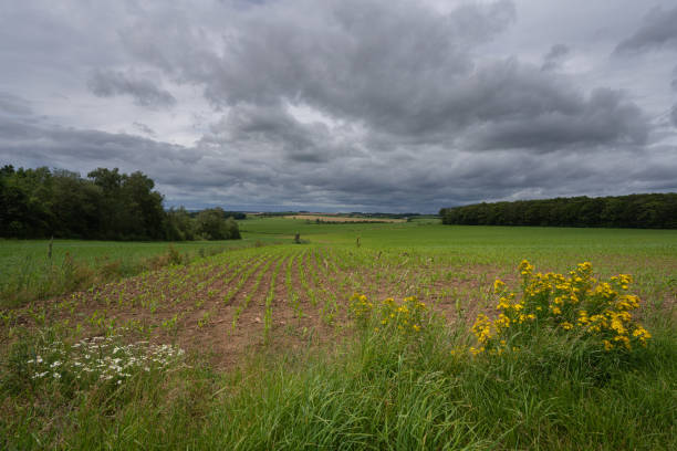 istock Eifel landscape, Rhineland-Palatinate, Germany 2166163020
