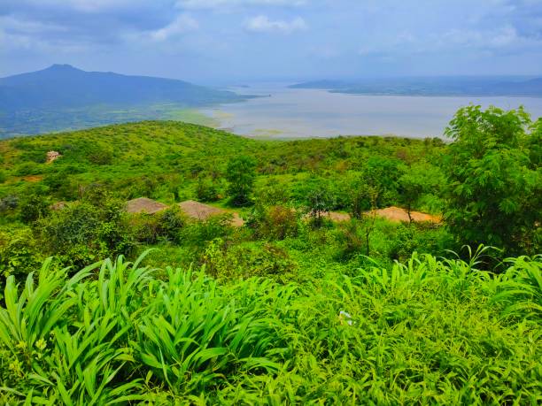 istock Forest view from top of hills 2166169953