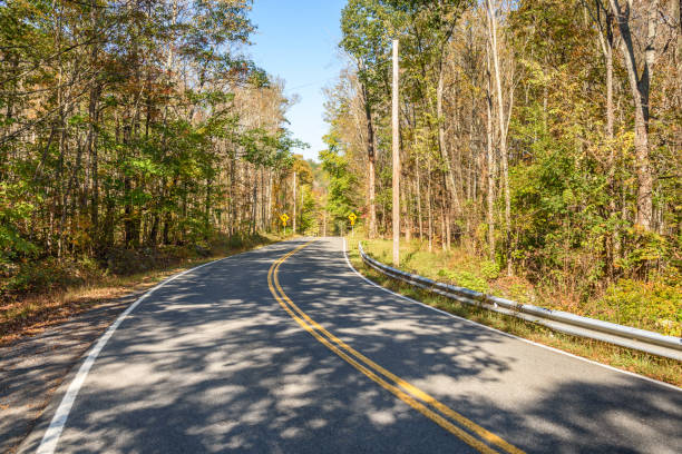 istock Deserted curvy road through a forest on a sunny fall day 2166181717