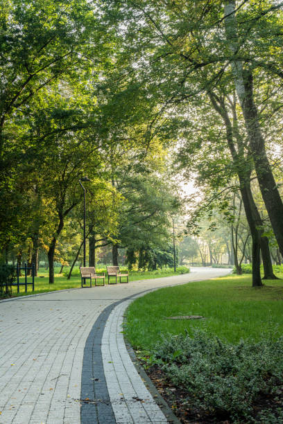 istock Early morning stroll through a peaceful public park with benches along a winding path 2166186978