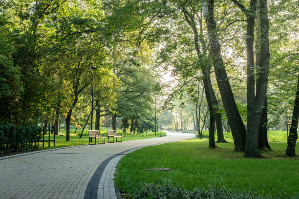 istock Early morning stroll through a public park with benches and lush greenery 2166186979