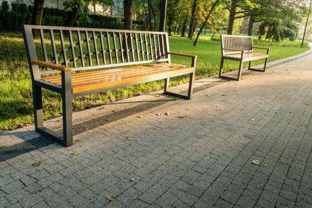 istock Early morning sunlight illuminating empty benches in a serene public park 2166186983