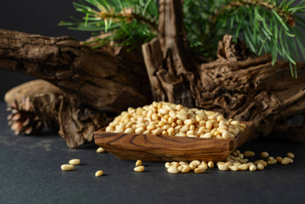 istock Peeled pine nuts with cedar dried snags and green branches. 2166187598