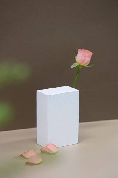 istock Empty podium with pink rose flowers on brown background. 2166189142