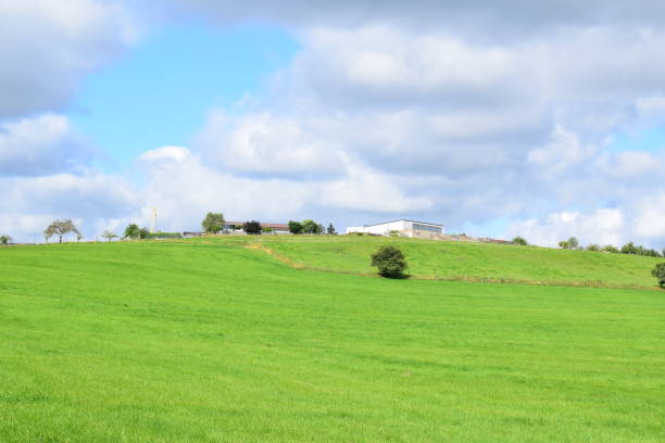 istock green hills in the Eifel 2166190304
