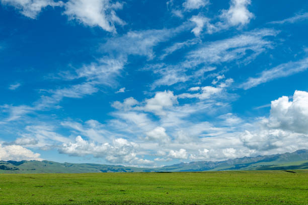 Rolling Meadows under Xinjiang Skies