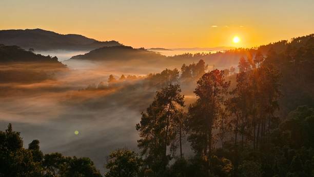 istock Mystic Dawn: Sunrise Over Fog-Enshrouded Forest 2166192423