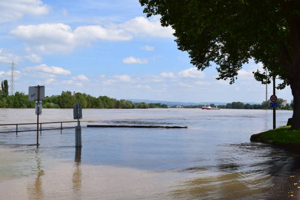istock flooded Rhine shore 2166193694