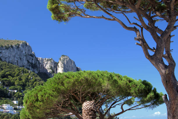 Images of the Amalfo Coast italy