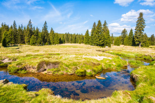 Spring of Hron, Horehronie, Low Tatras, Slovakia