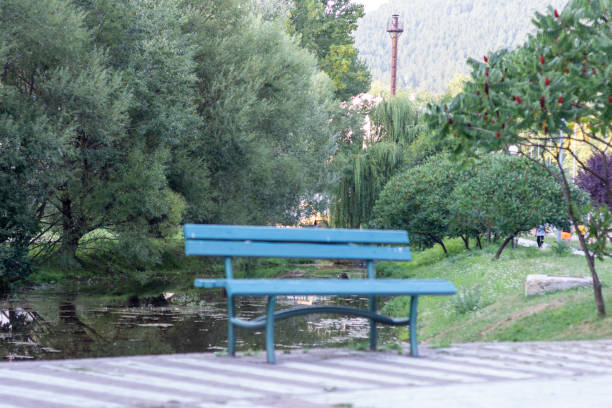 bench in the public park